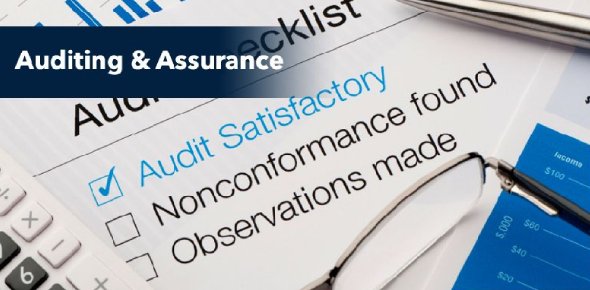 Audit Assurance Services